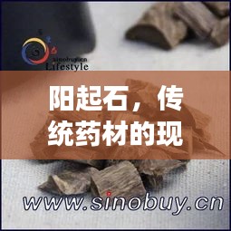 陽(yáng)起石，傳統(tǒng)藥材的現(xiàn)代解讀與藥用價(jià)值解析