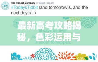 最新高考攻略揭秘，色彩運(yùn)用與心理戰(zhàn)術(shù)策略