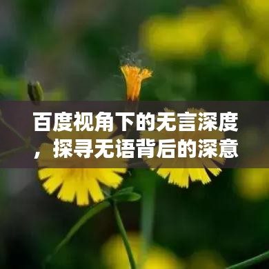 百度視角下的無言深度，探尋無語背后的深意