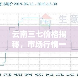 云南三七價(jià)格揭秘，市場(chǎng)行情一網(wǎng)打盡，百度助你輕松了解！