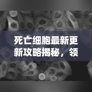死亡細(xì)胞最新更新攻略揭秘，領(lǐng)先對(duì)手的游戲秘籍！