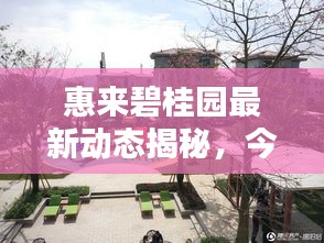 惠來碧桂園最新動態(tài)揭秘，今日更新消息搶先看