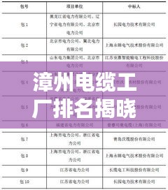 漳州電纜工廠排名揭曉，十大頂尖企業(yè)榜單
