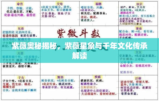 紫薇奧秘揭秘，紫薇星象與千年文化傳承解讀