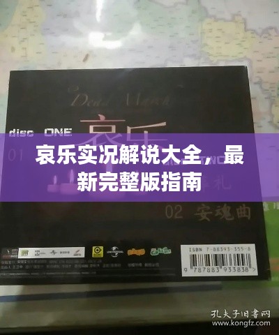 哀樂實(shí)況解說大全，最新完整版指南