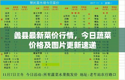蠡縣最新菜價(jià)行情，今日蔬菜價(jià)格及圖片更新速遞