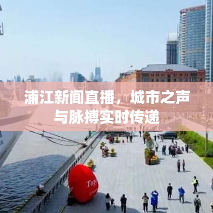 浦江新聞直播，城市之聲與脈搏實時傳遞