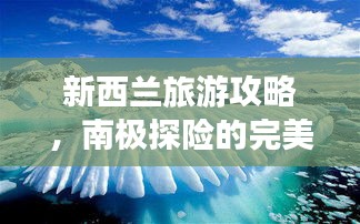 新西蘭旅游攻略，南極探險的完美起點
