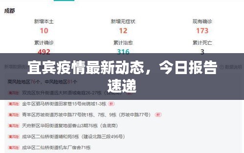 宜賓疫情最新動態(tài)，今日報告速遞