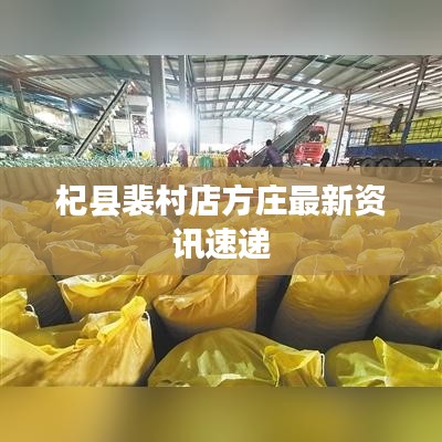杞縣裴村店方莊最新資訊速遞