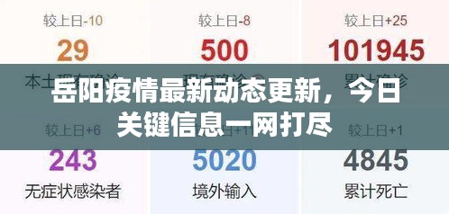 岳陽疫情最新動(dòng)態(tài)更新，今日關(guān)鍵信息一網(wǎng)打盡