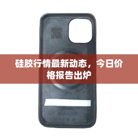 硅膠行情最新動(dòng)態(tài)，今日價(jià)格報(bào)告出爐