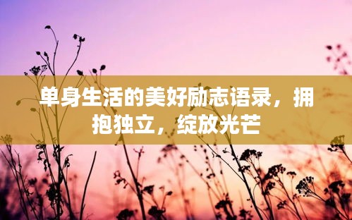 單身生活的美好勵(lì)志語(yǔ)錄，擁抱獨(dú)立，綻放光芒