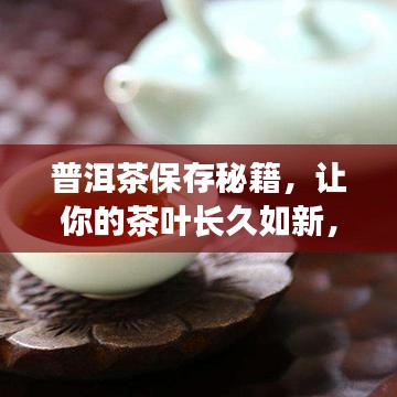 張張屈屈 第2頁