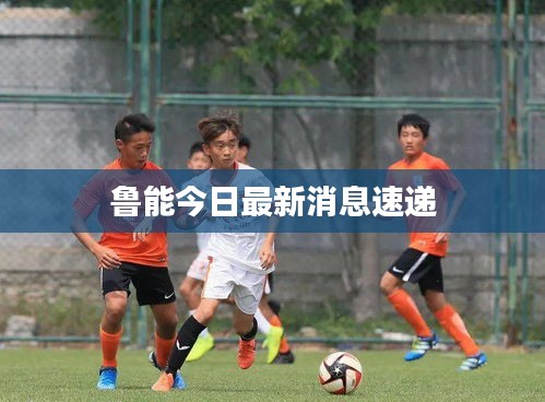 魯能今日最新消息速遞