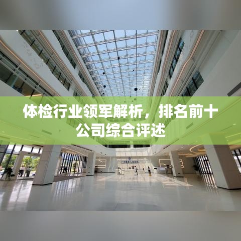 體檢行業(yè)領(lǐng)軍解析，排名前十公司綜合評(píng)述