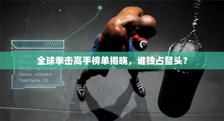 全球拳擊高手榜單揭曉，誰獨占鰲頭？
