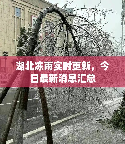 湖北凍雨實(shí)時(shí)更新，今日最新消息匯總