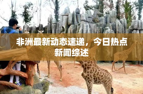 非洲最新動(dòng)態(tài)速遞，今日熱點(diǎn)新聞綜述