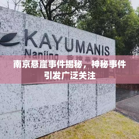 南京懸崖事件揭秘，神秘事件引發(fā)廣泛關(guān)注