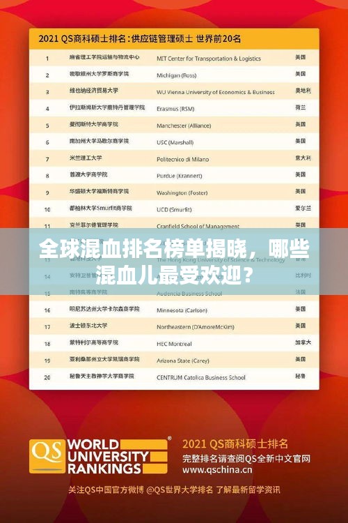 全球混血排名榜單揭曉，哪些混血兒最受歡迎？