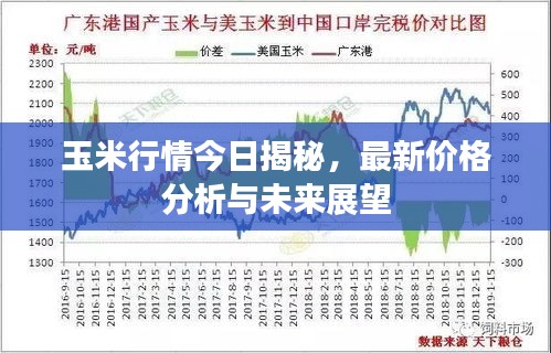 玉米行情今日揭秘，最新價(jià)格分析與未來(lái)展望