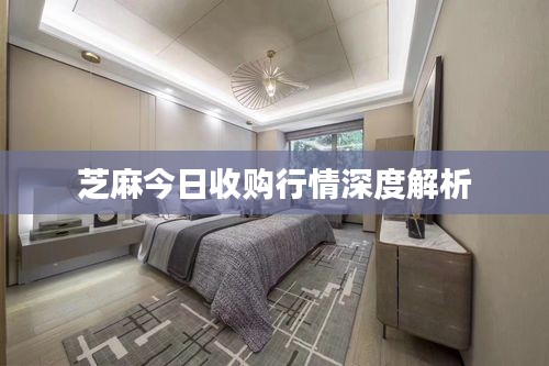 芝麻今日收購行情深度解析