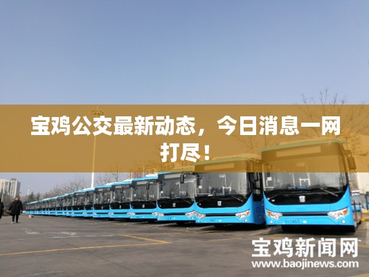 寶雞公交最新動(dòng)態(tài)，今日消息一網(wǎng)打盡！