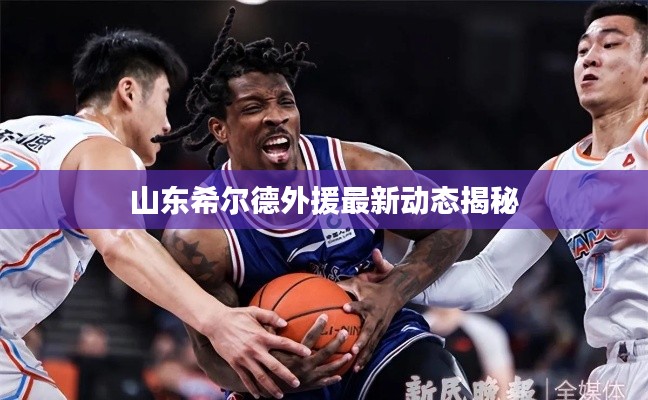 山東希爾德外援最新動(dòng)態(tài)揭秘
