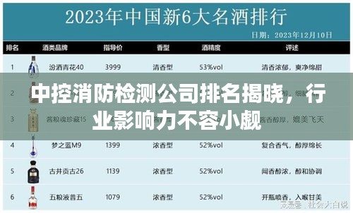 中控消防檢測公司排名揭曉，行業(yè)影響力不容小覷
