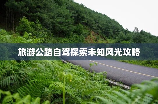 旅游公路自駕探索未知風(fēng)光攻略