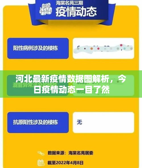 河北最新疫情數(shù)據(jù)圖解析，今日疫情動(dòng)態(tài)一目了然