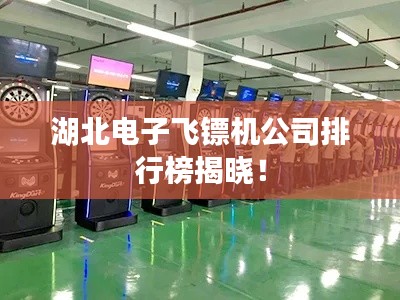 湖北電子飛鏢機(jī)公司排行榜揭曉！