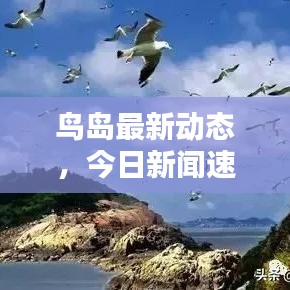 鳥(niǎo)島最新動(dòng)態(tài)，今日新聞速遞