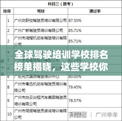 全球駕駛培訓(xùn)學(xué)校排名榜單揭曉，這些學(xué)校你一定不能錯(cuò)過(guò)！
