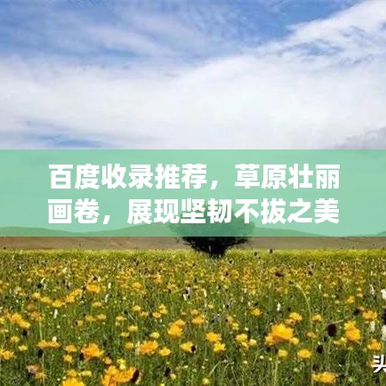 百度收錄推薦，草原壯麗畫卷，展現(xiàn)堅(jiān)韌不拔之美