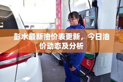 彭水最新油價(jià)表更新，今日油價(jià)動(dòng)態(tài)及分析