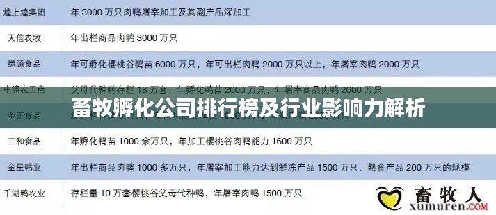 畜牧孵化公司排行榜及行業(yè)影響力解析