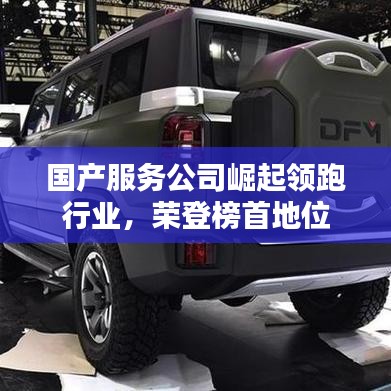 國(guó)產(chǎn)服務(wù)公司崛起領(lǐng)跑行業(yè)，榮登榜首地位