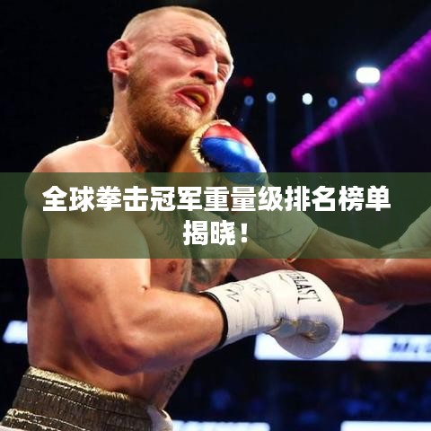 全球拳擊冠軍重量級排名榜單揭曉！