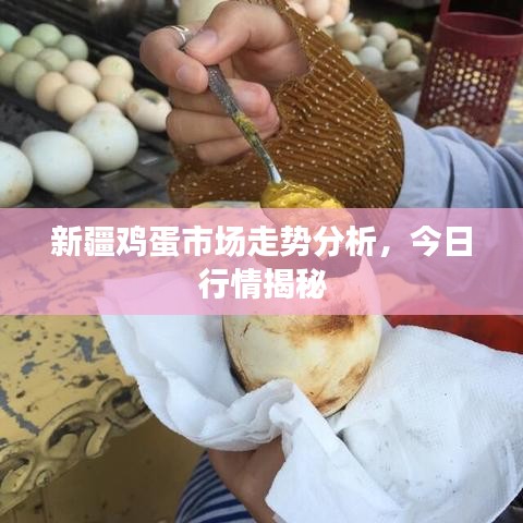 新疆雞蛋市場(chǎng)走勢(shì)分析，今日行情揭秘
