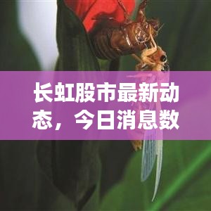 長虹股市最新動態(tài)，今日消息數(shù)據(jù)全面解析