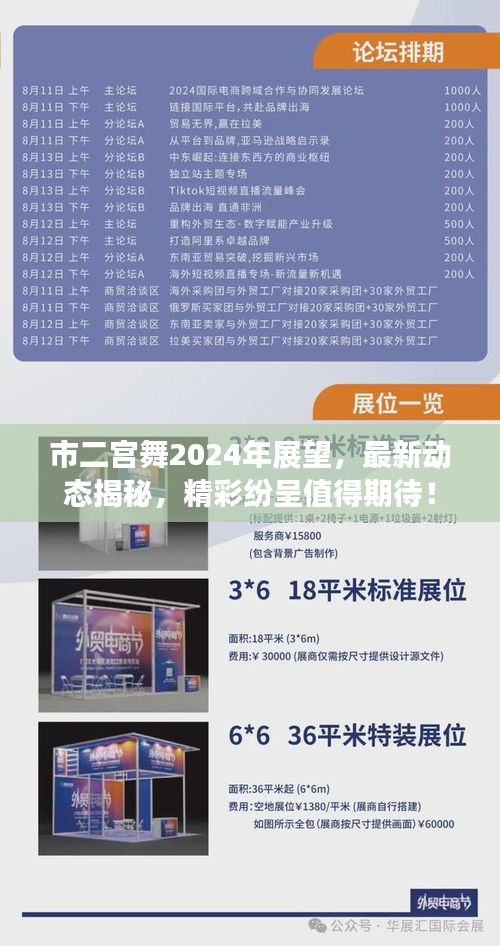 市二宮舞2024年展望，最新動態(tài)揭秘，精彩紛呈值得期待！