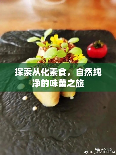 探索從化素食，自然純凈的味蕾之旅