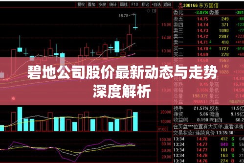 碧地公司股價最新動態(tài)與走勢深度解析