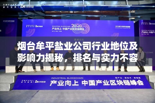 煙臺牟平鹽業(yè)公司行業(yè)地位及影響力揭秘，排名與實力不容小覷