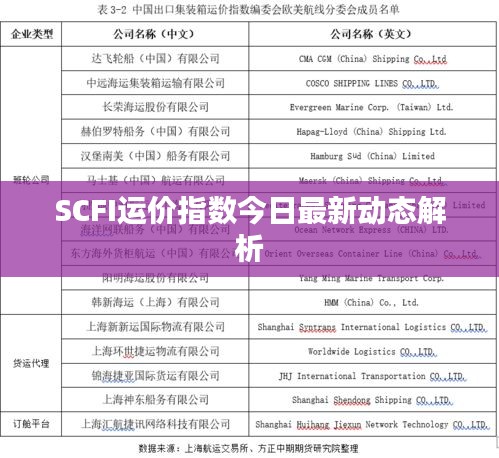 SCFI運價指數(shù)今日最新動態(tài)解析