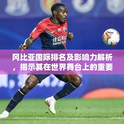 岡比亞國際排名及影響力解析，揭示其在世界舞臺上的重要地位