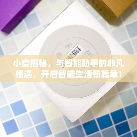 小度揭秘，與智能助手的非凡相遇，開(kāi)啟智能生活新篇章！