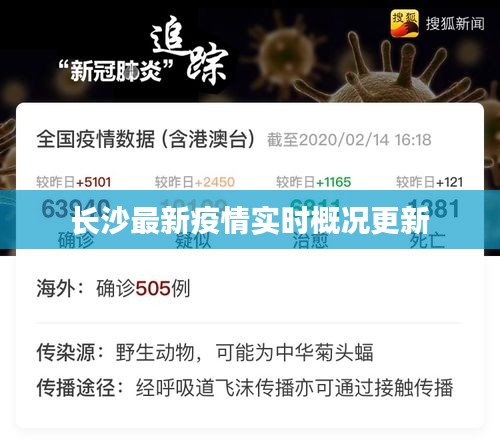 長沙最新疫情實時概況更新